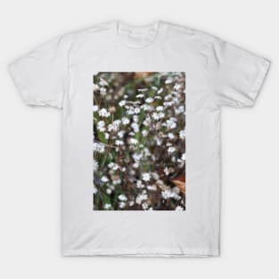 Summer daisies T-Shirt